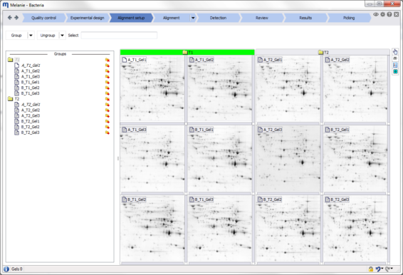 Melanie Classic and DIGE - Software for 2D gel based expression analysis